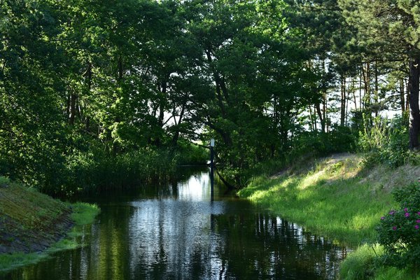 Wie kann Meditation das emotionale Gleichgewicht fÃ¶rdern?
